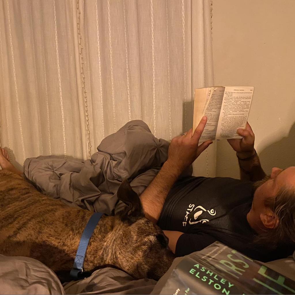 Bison, a Adoptable Pit Bull Terrier in Ramona, CA image 6/6