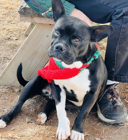 Sammie $ thumbnail 2