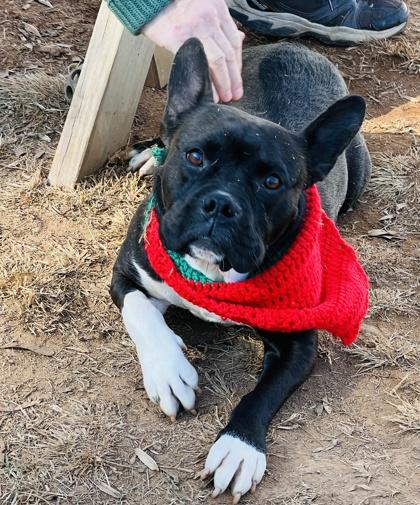 Sammie $ thumbnail 4