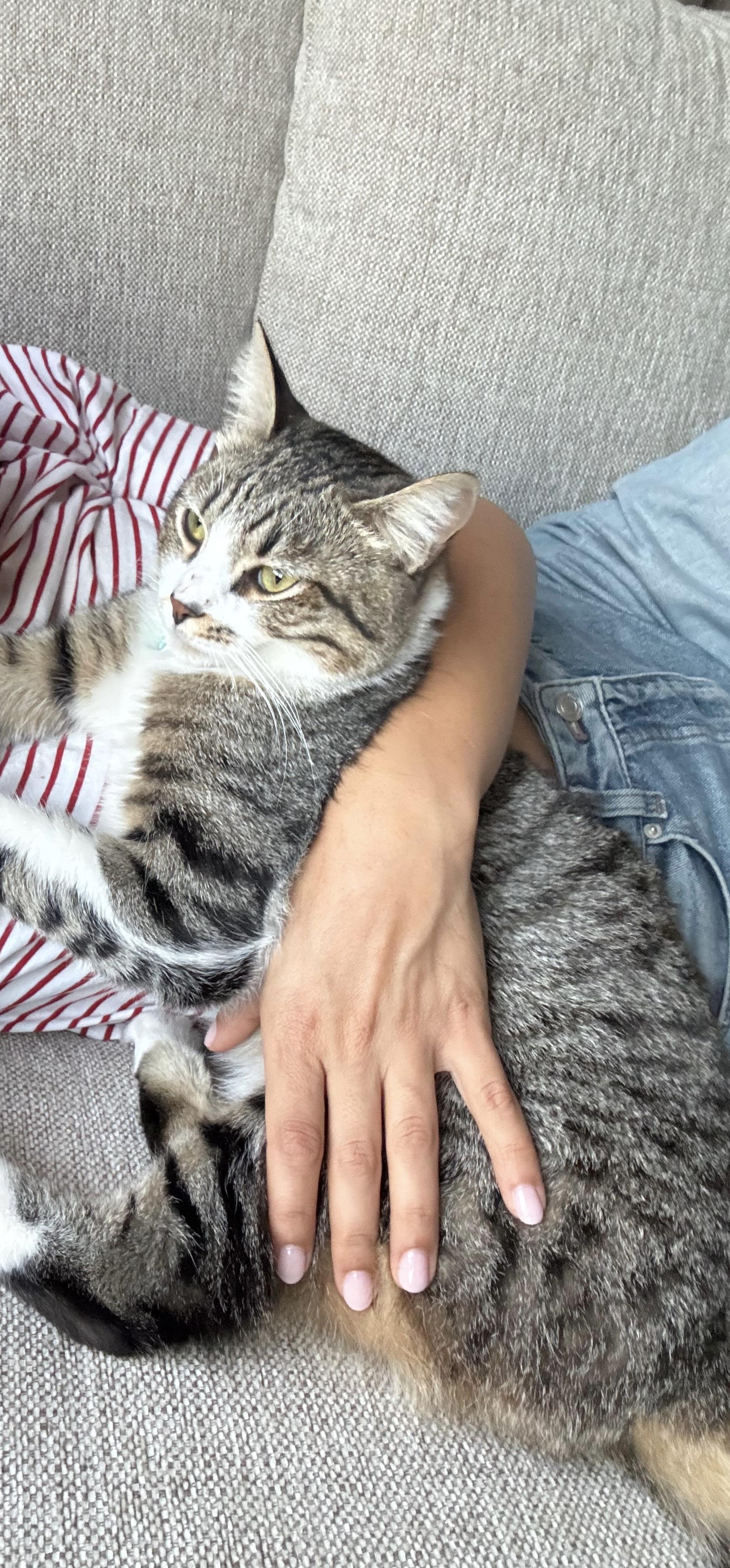 Storm, the Cuddle King