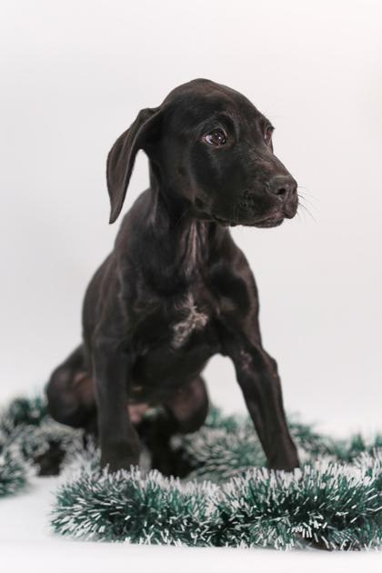 Liam — thumbnail 2