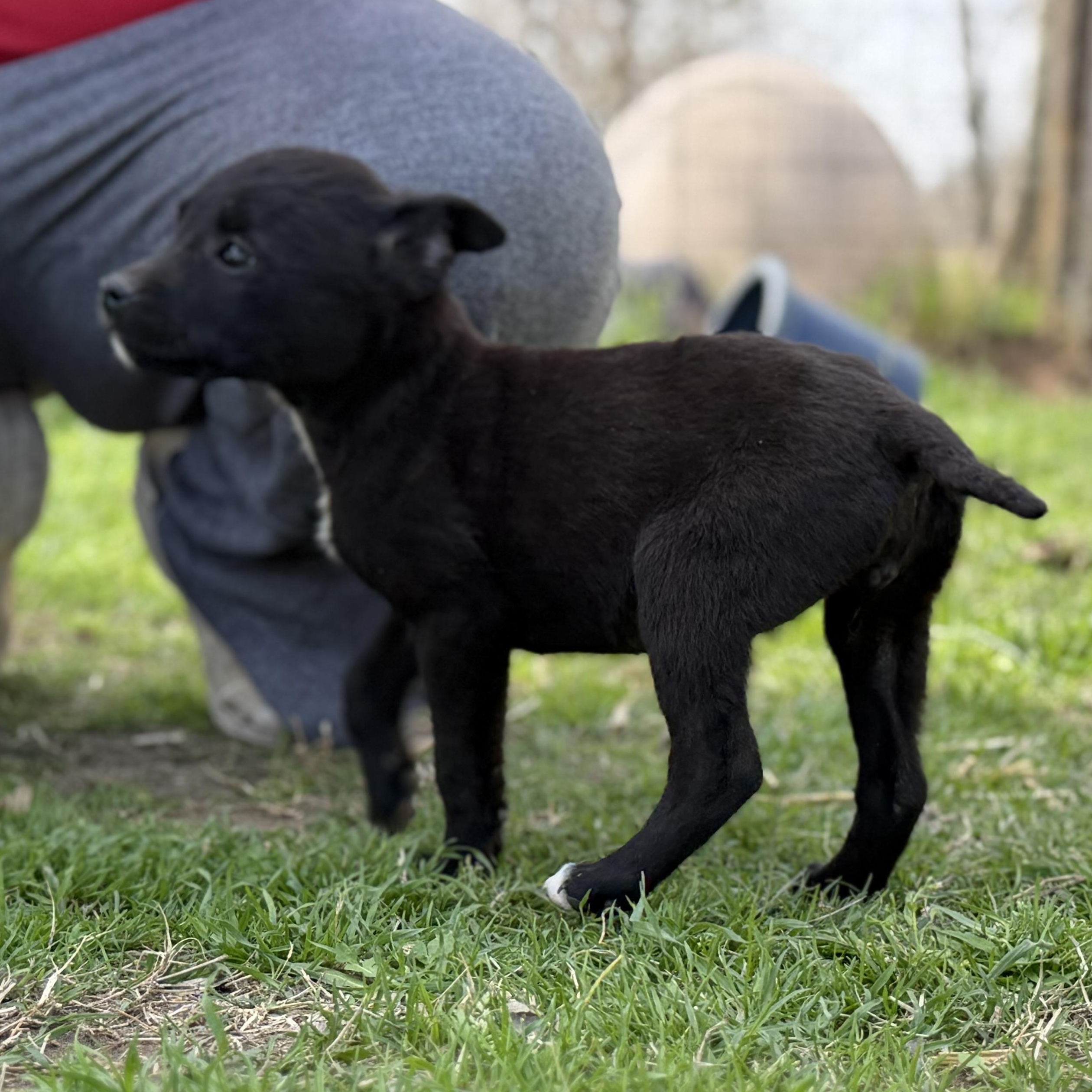 Virgo — thumbnail 4