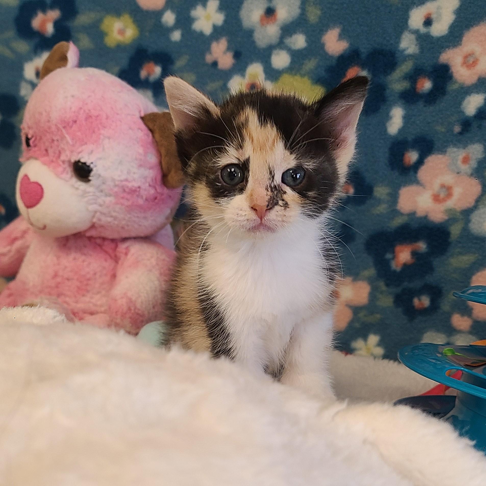 Lisa — thumbnail 3