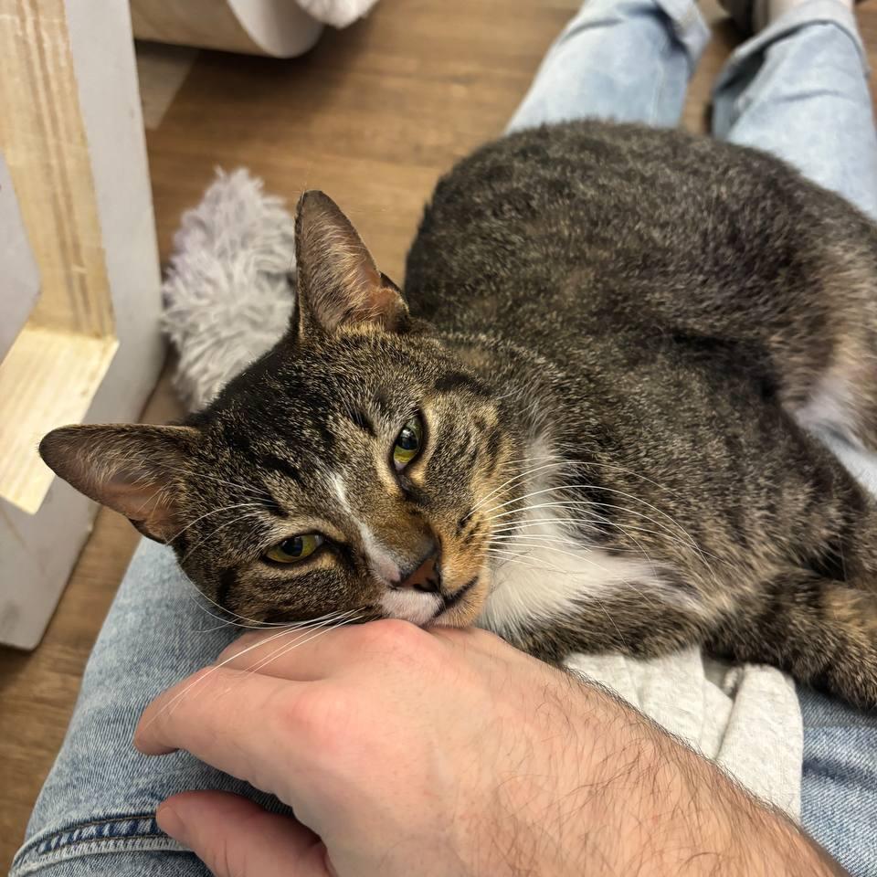 Wynter — thumbnail 2