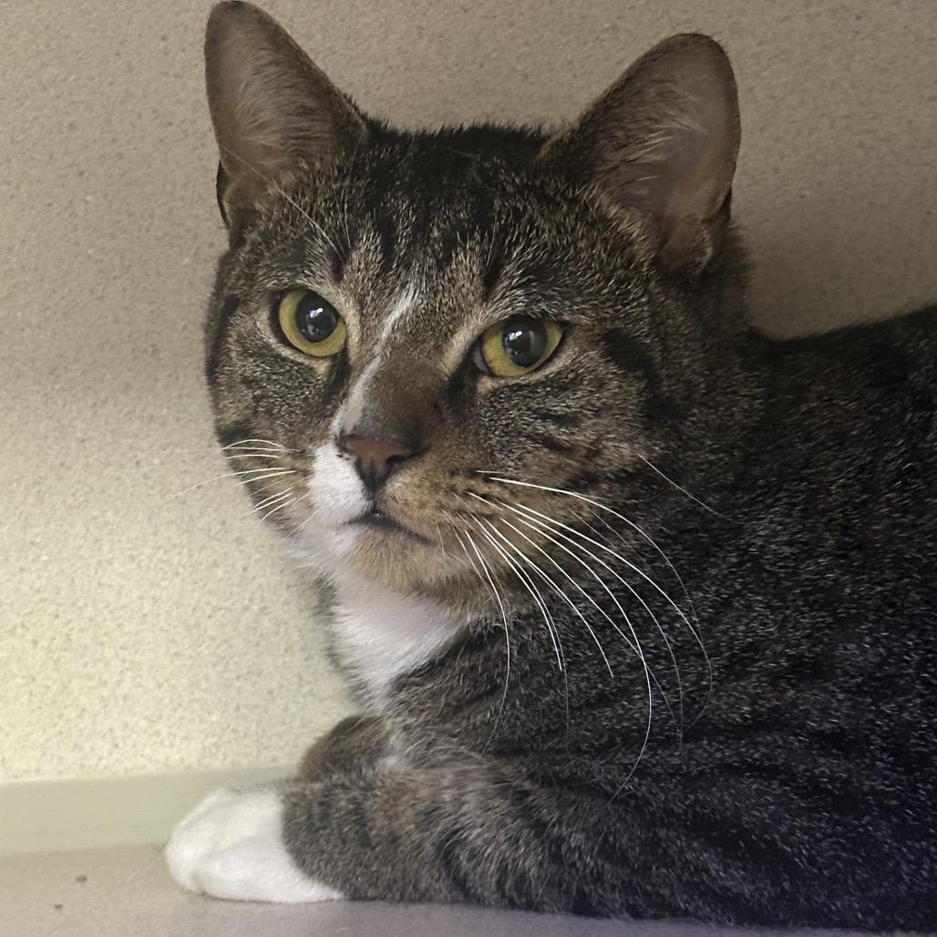 Wynter — thumbnail 3