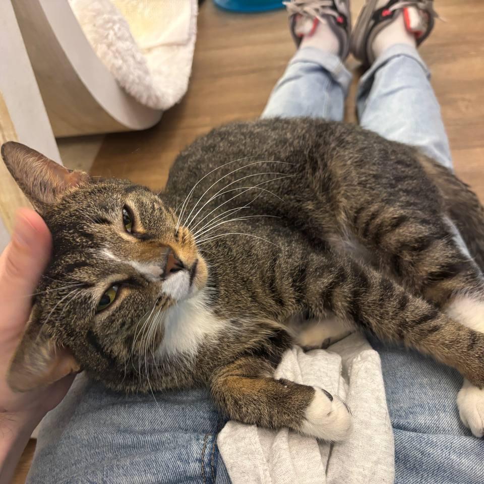 Wynter — thumbnail 4