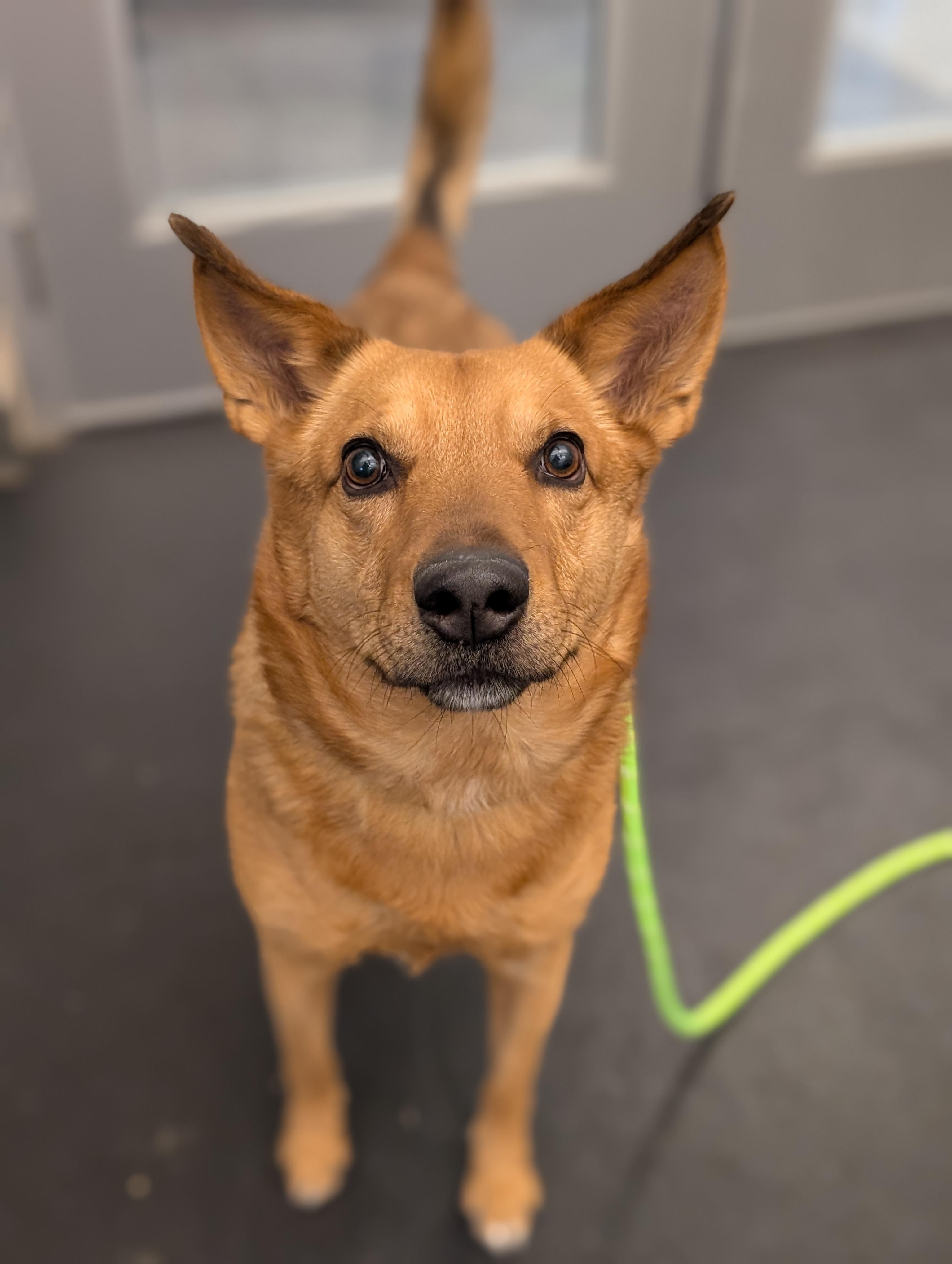 Mellow — thumbnail 2