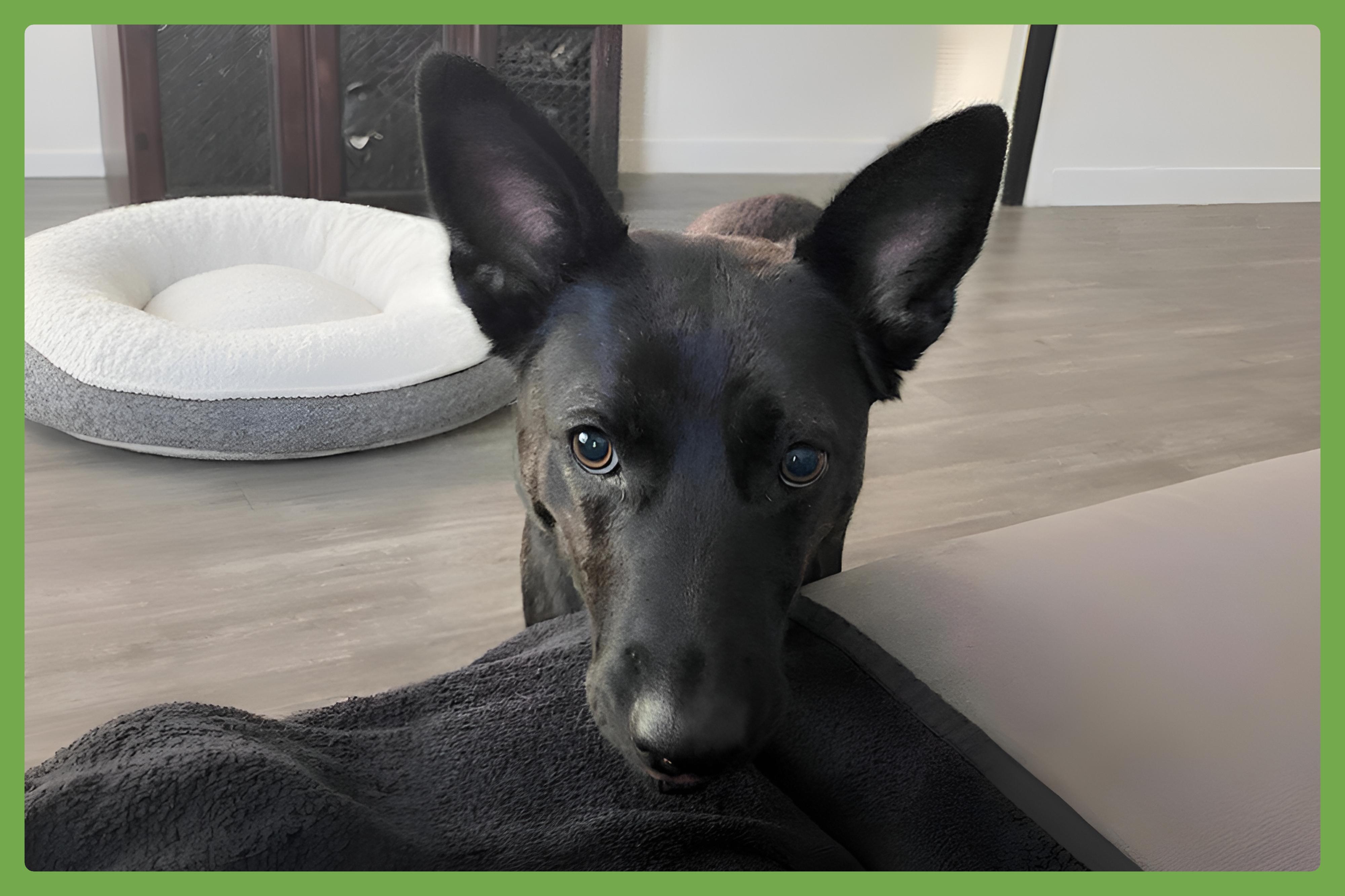 Donna — thumbnail 5