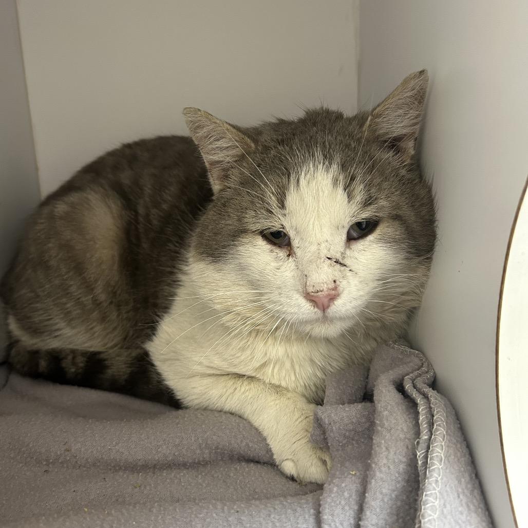 Spindrift — thumbnail 2