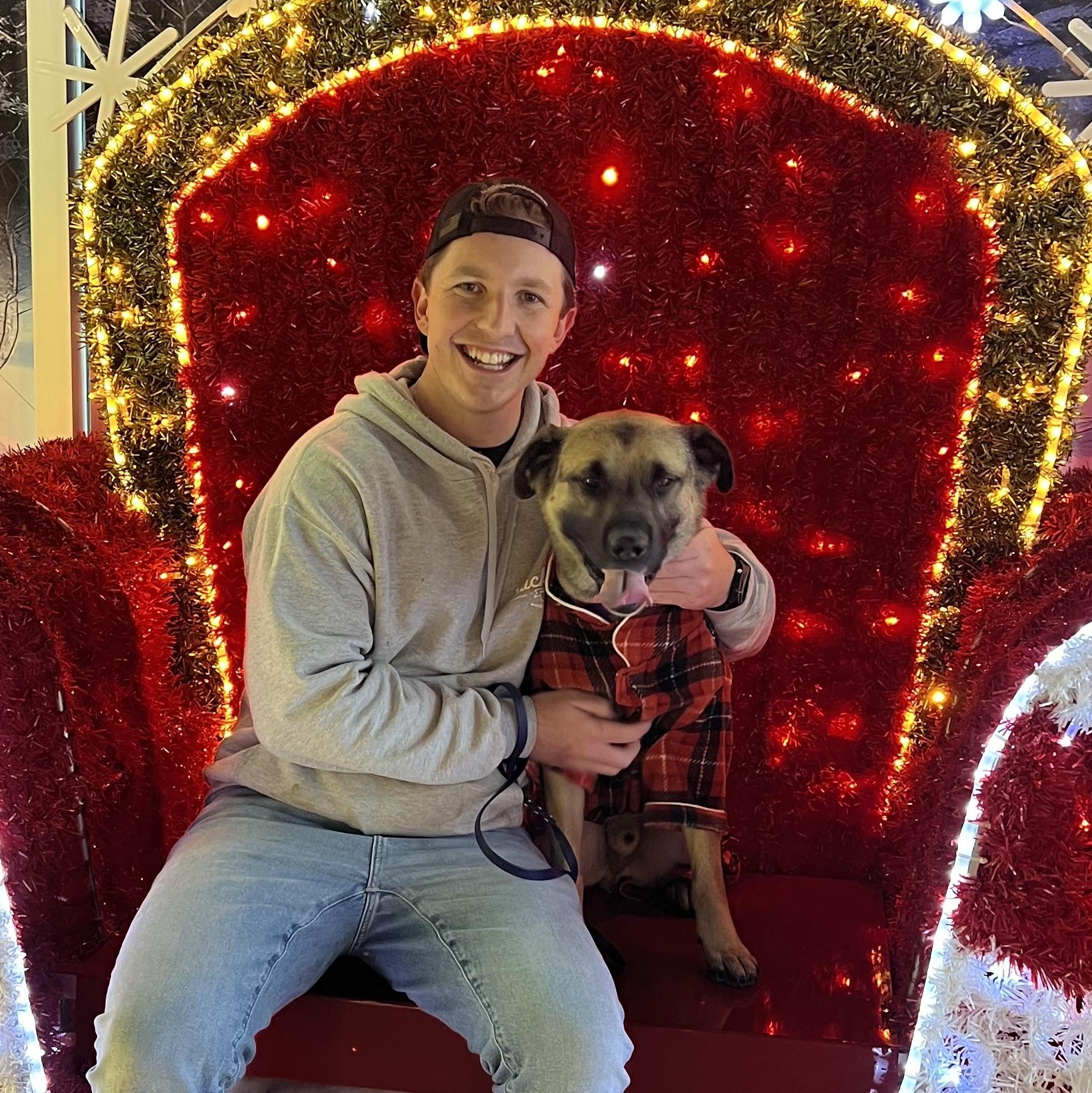 TRAVELER, a Adoptable mixed breed in Stamford, CT image 4/6