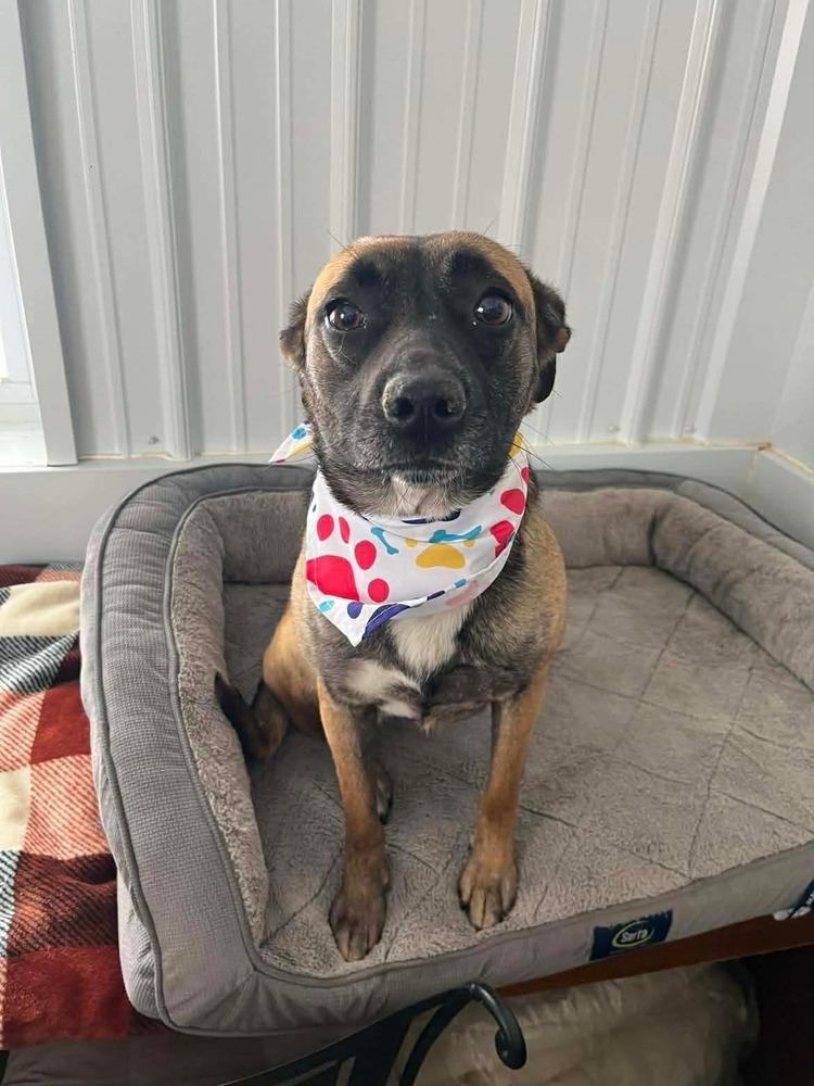 Izzy — thumbnail 2