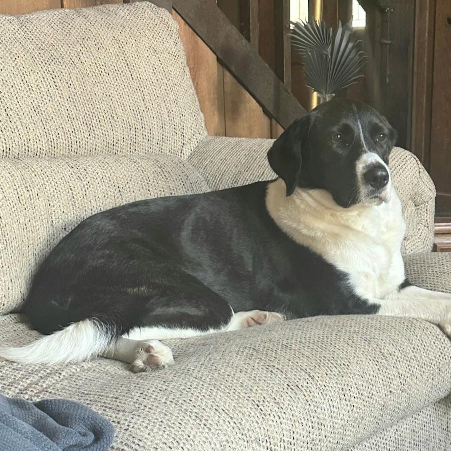Betty photo 5