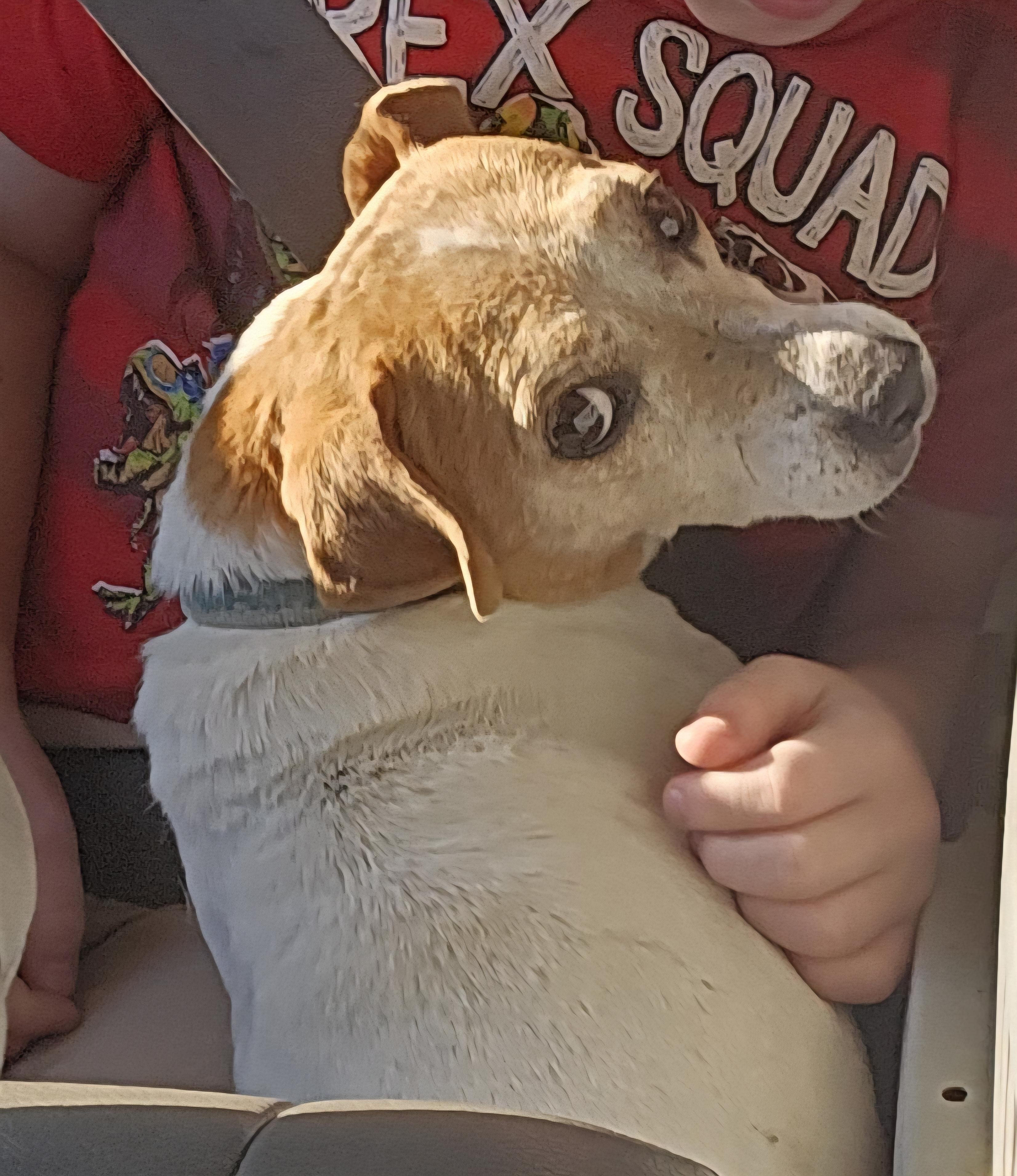 Ruby, Adult Female unknown