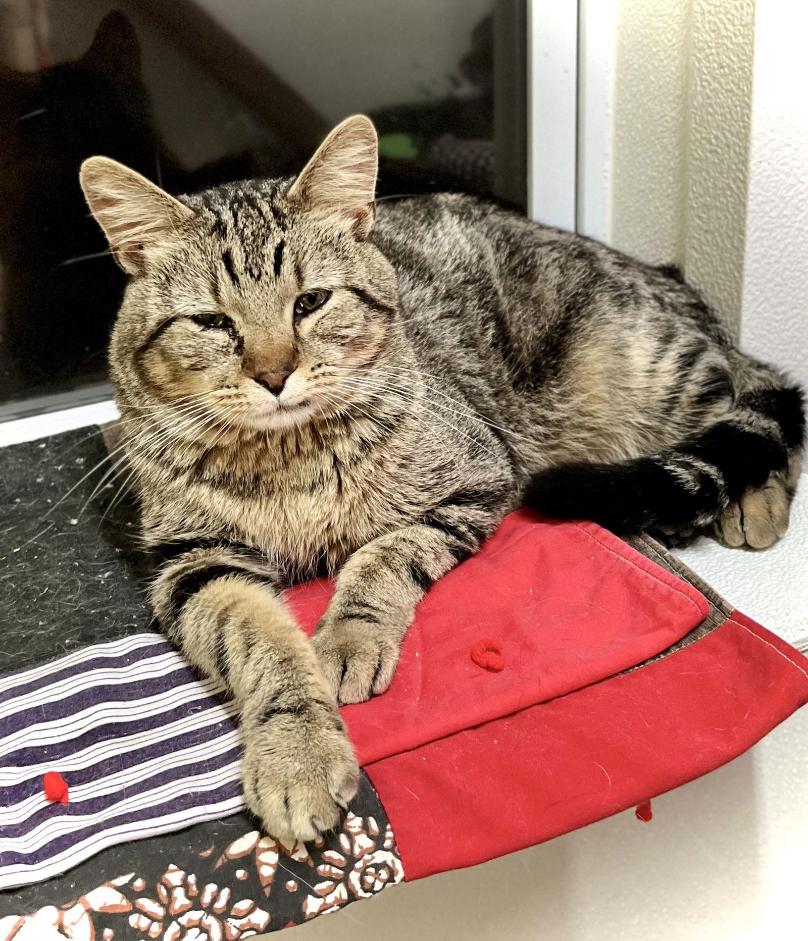 Twizzler — thumbnail 2