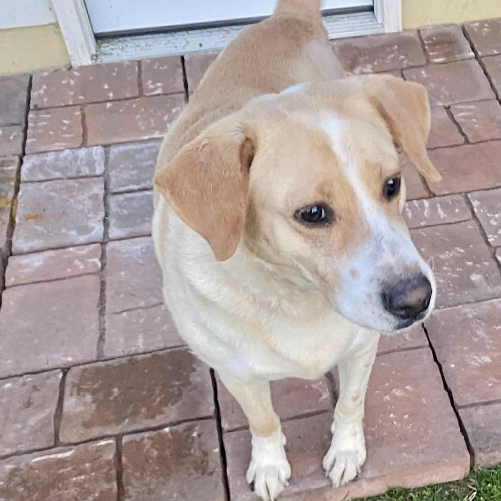 Collins — thumbnail 4