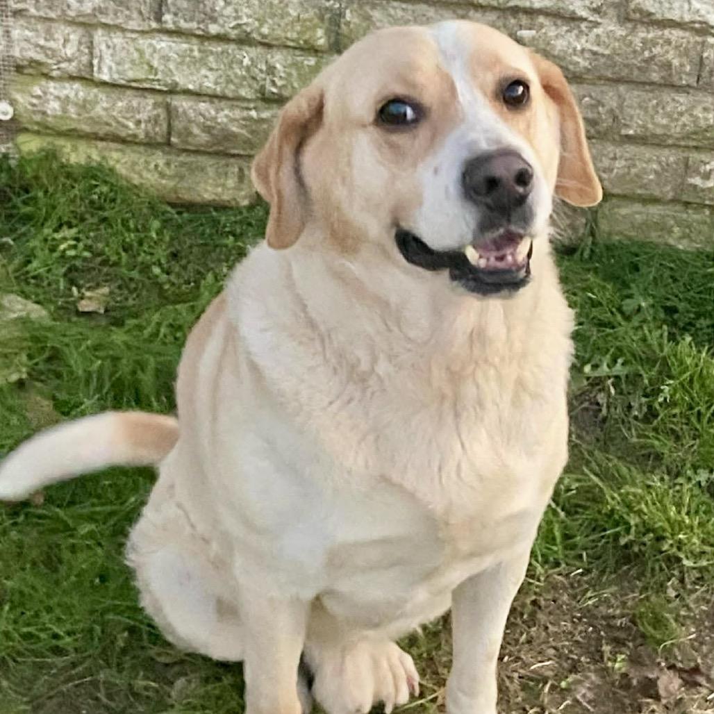 Collins — thumbnail 5