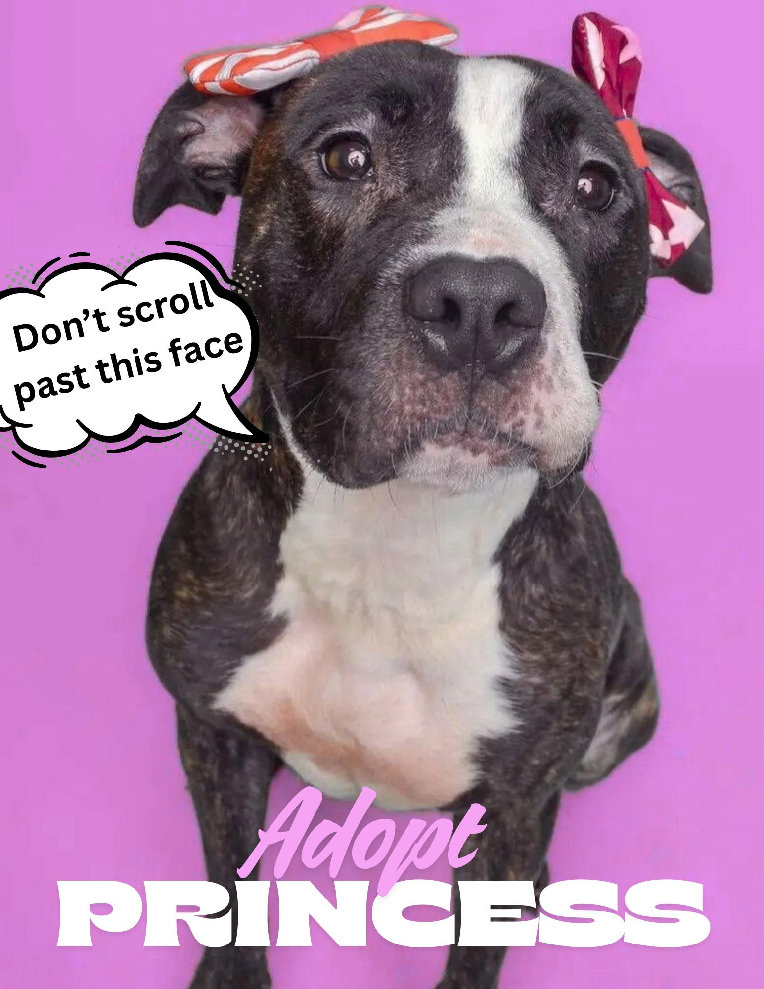 Princess thumbnail 3