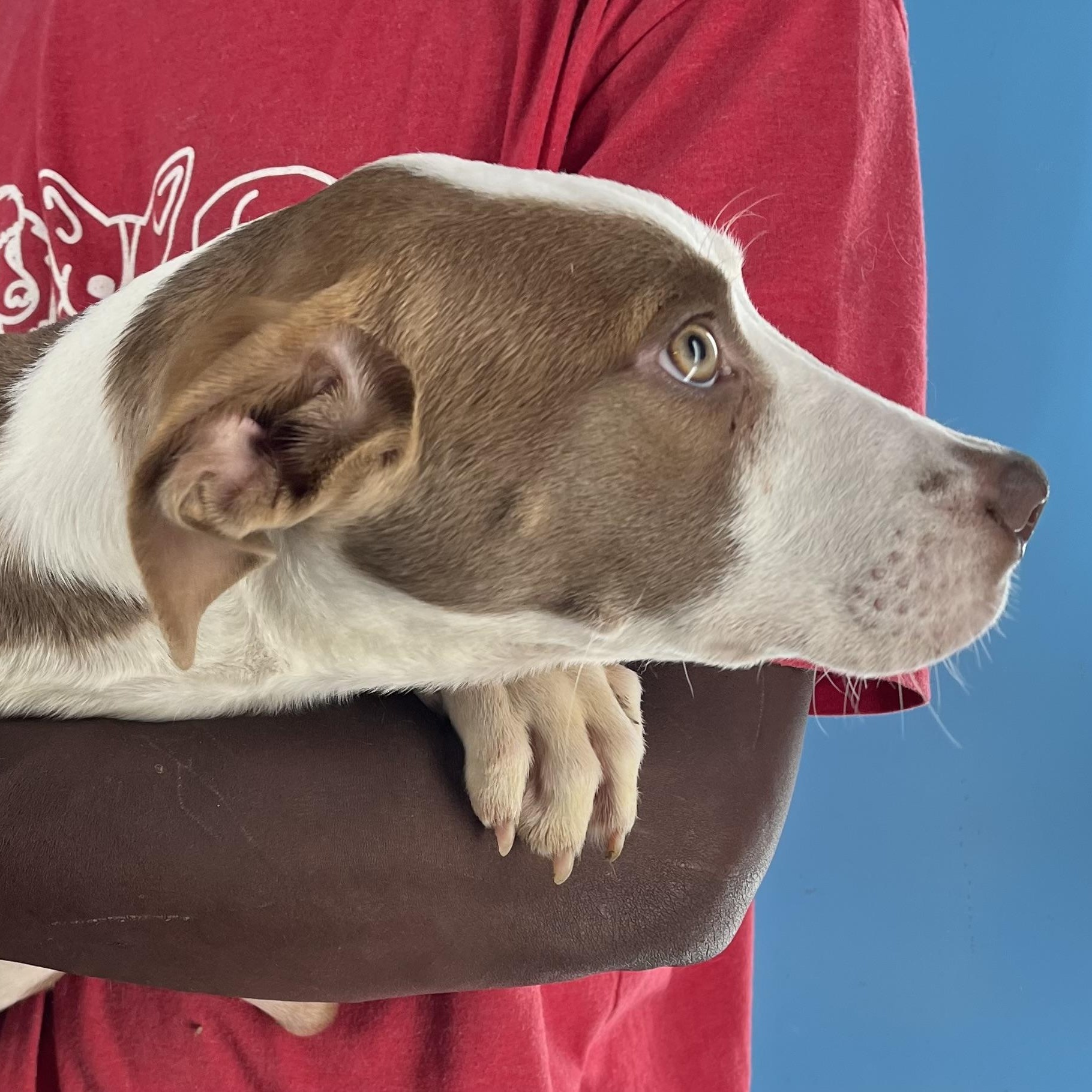 Bonnie  Local Oct thumbnail 3