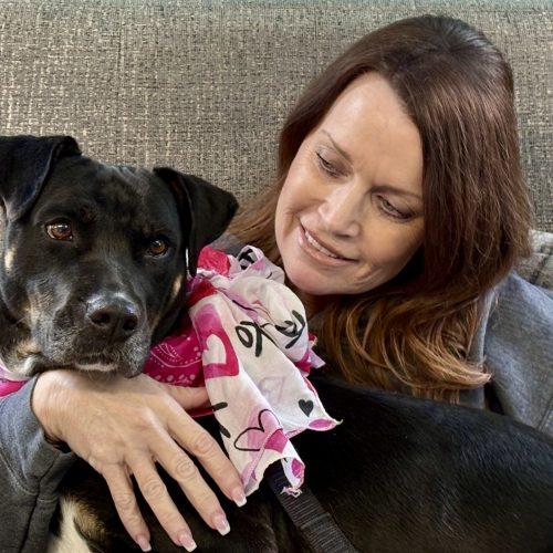 Enlarge Rosie, a Adoptable mixed breed in Leesburg, AL image 2/5