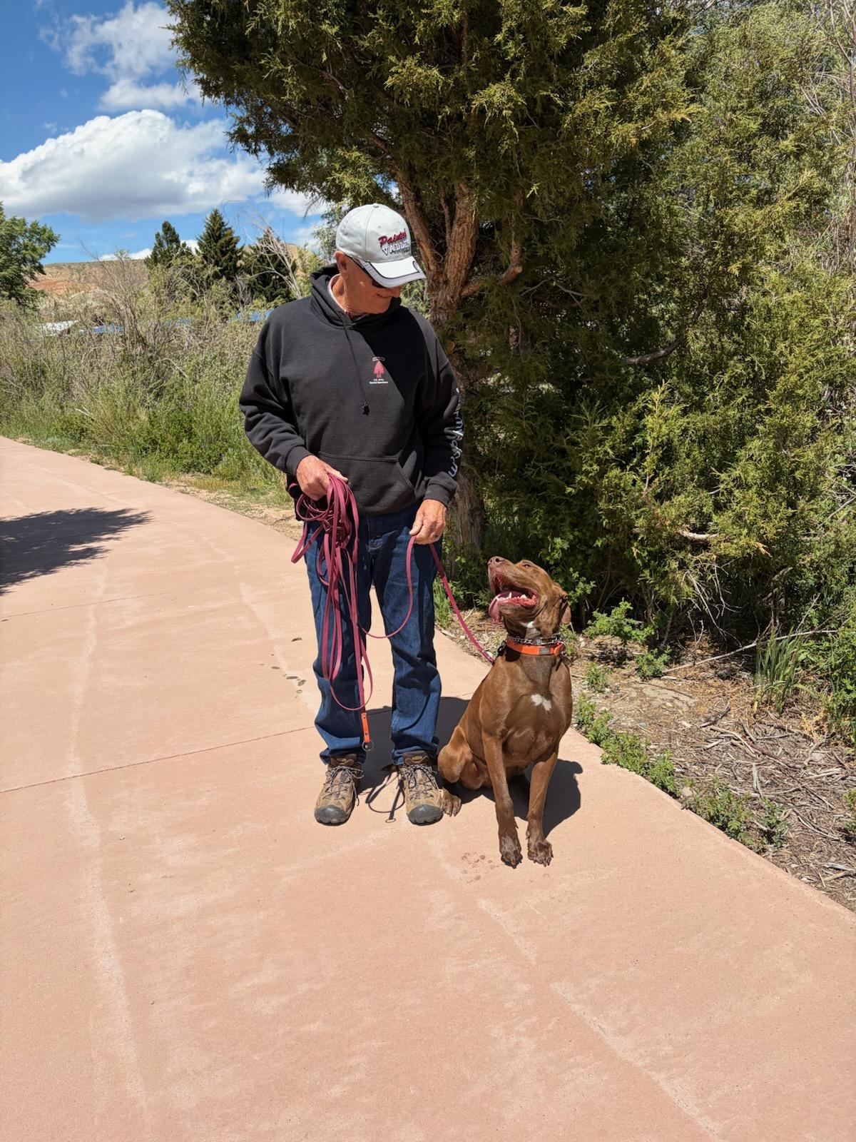 Enlarge Clifford, a Adoptable mixed breed in Dubois, WY image 6/6
