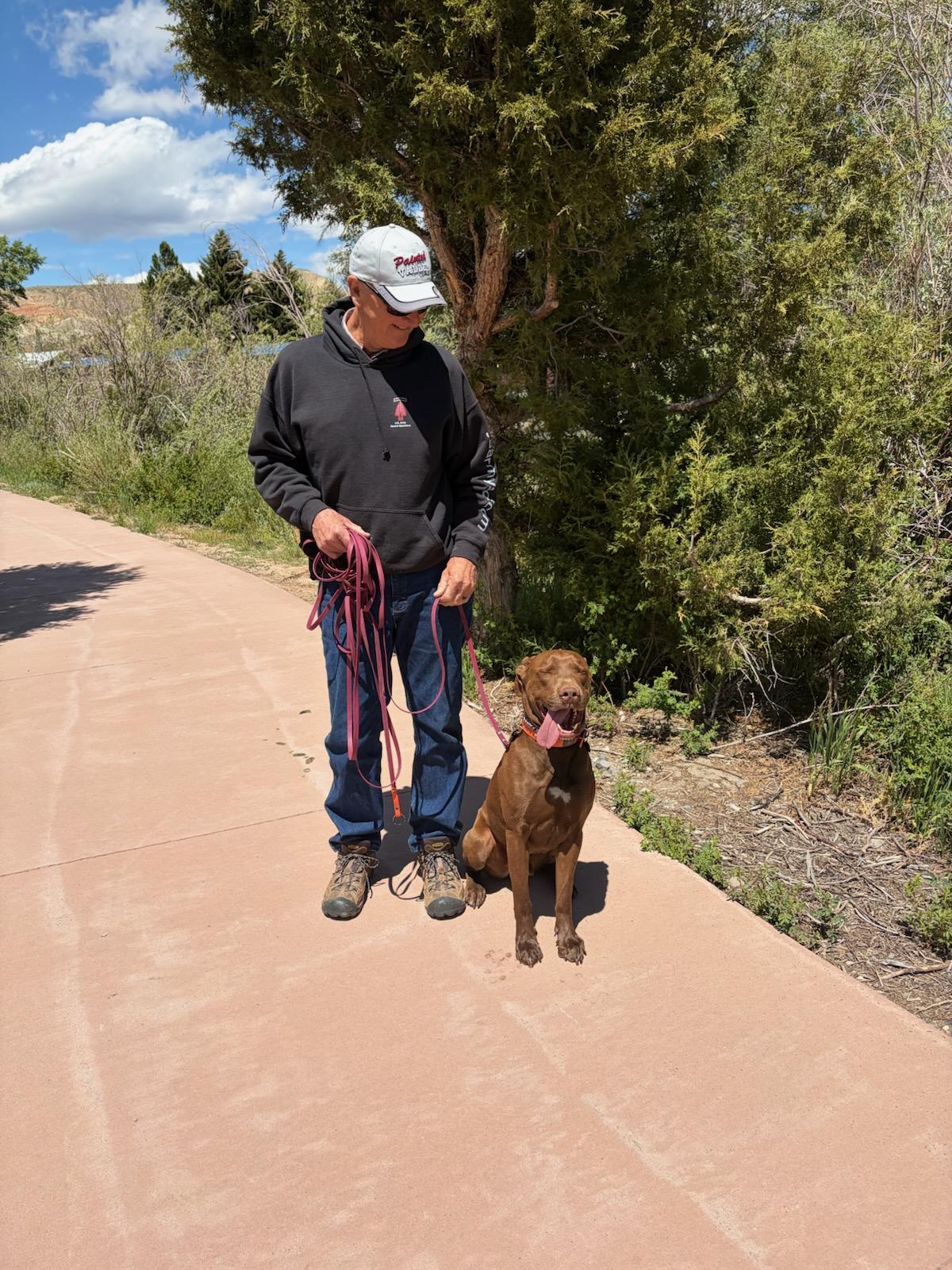 Enlarge Clifford, a Adoptable mixed breed in Dubois, WY image 5/6