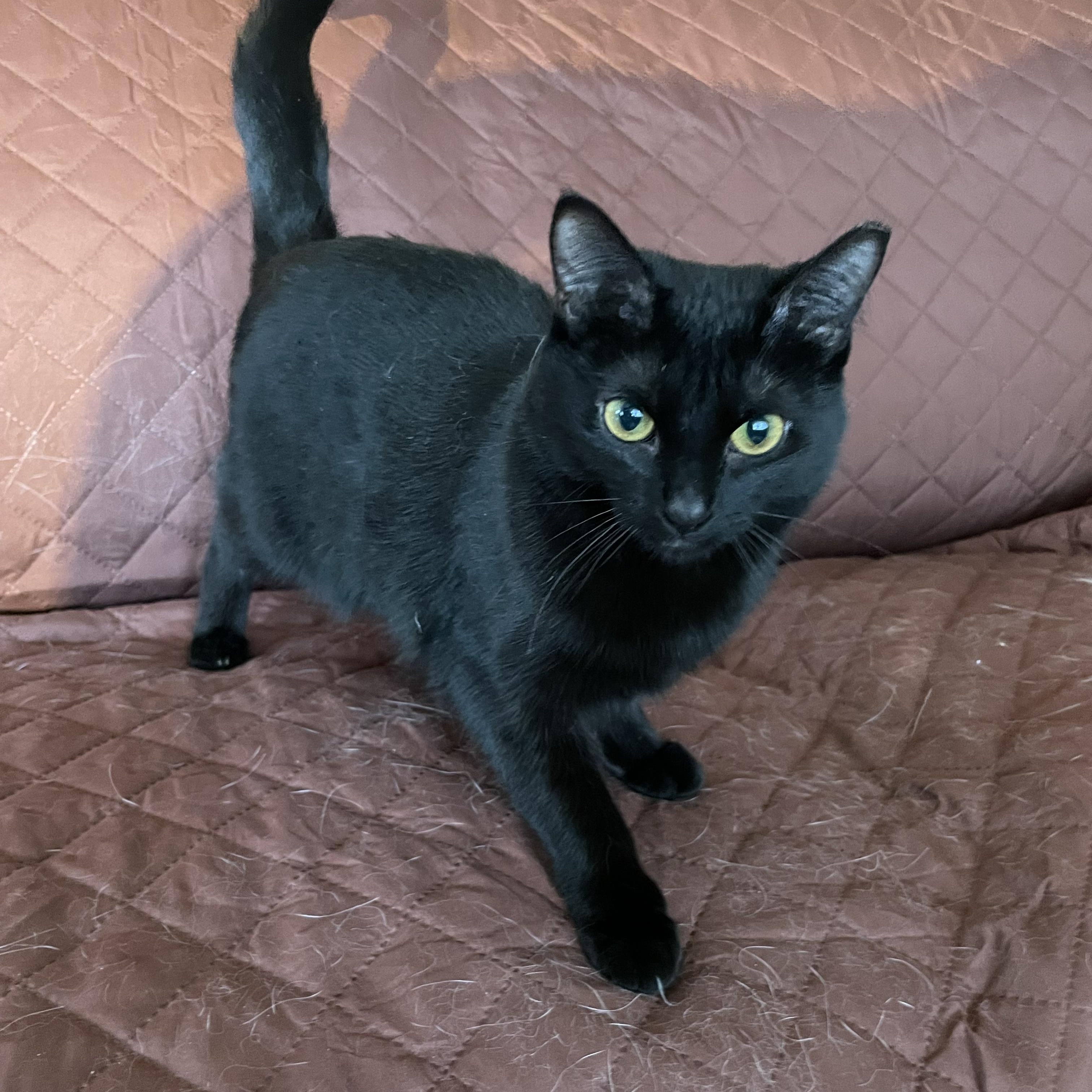 Winifred thumbnail 2