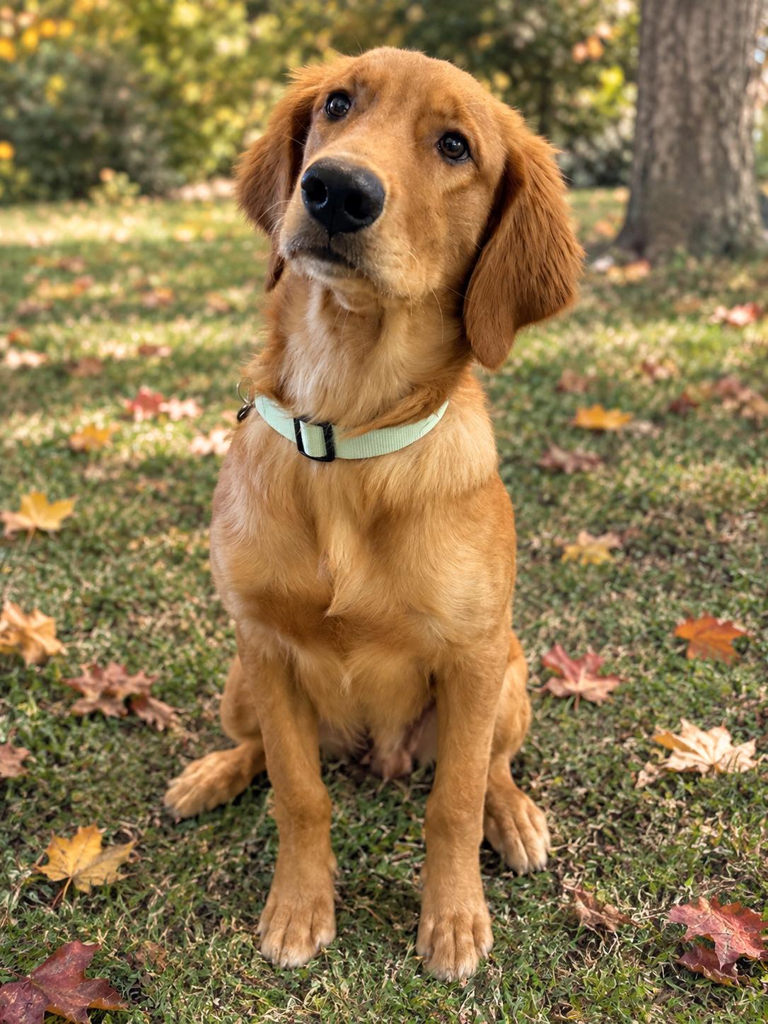 Oscar photo