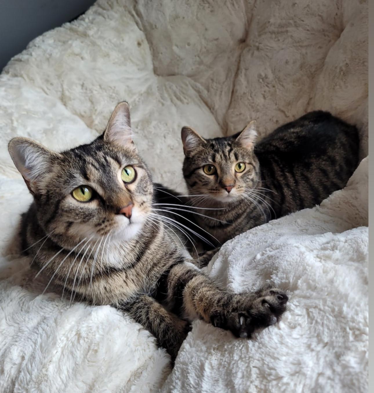 Roscoe & Cassandra photo 2