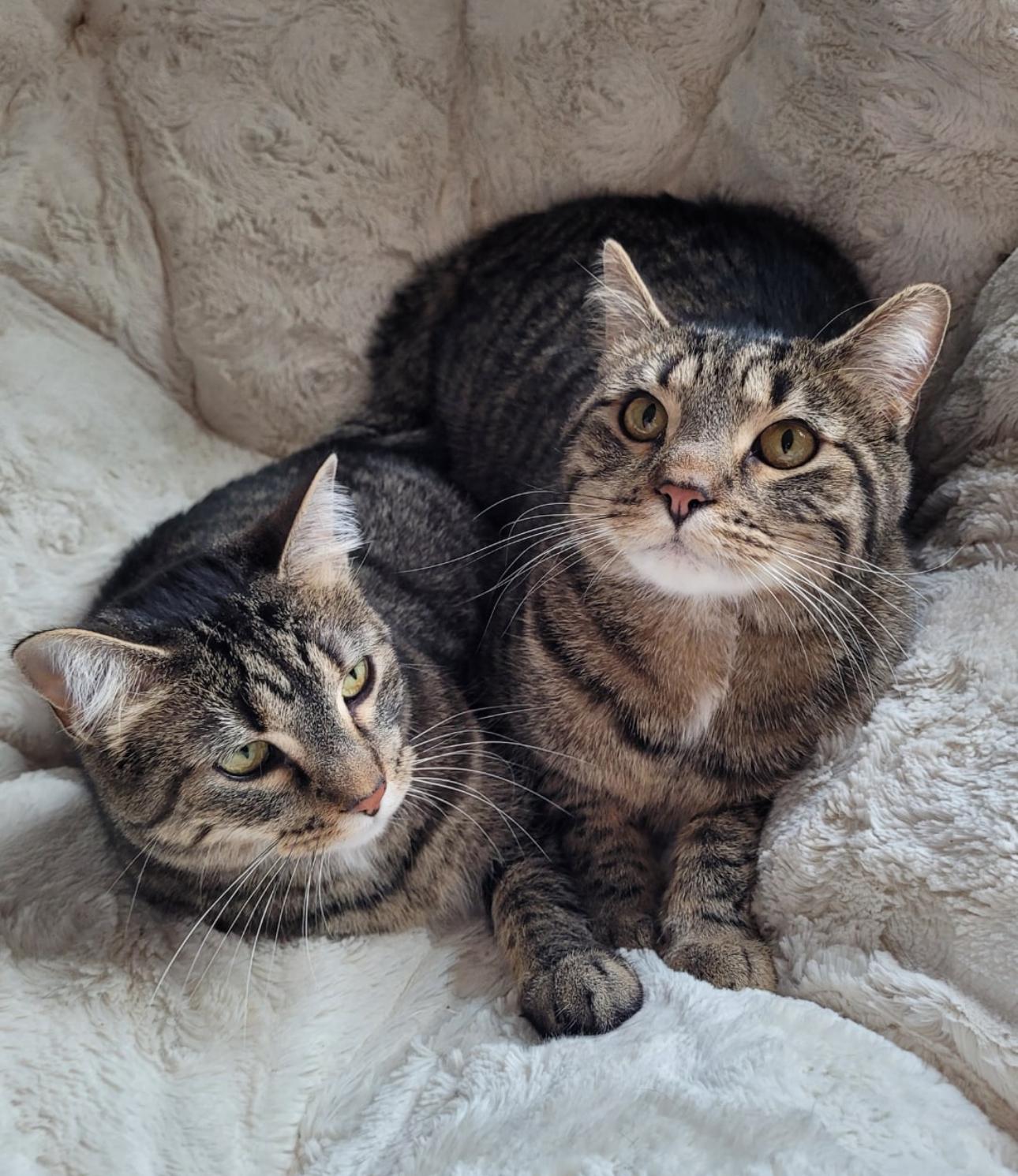 Roscoe & Cassandra photo 3