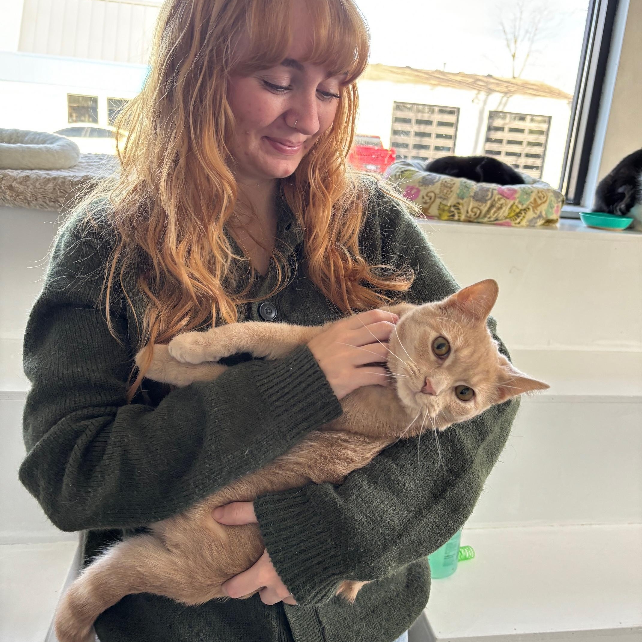 Owen (FeLV+) — thumbnail 2