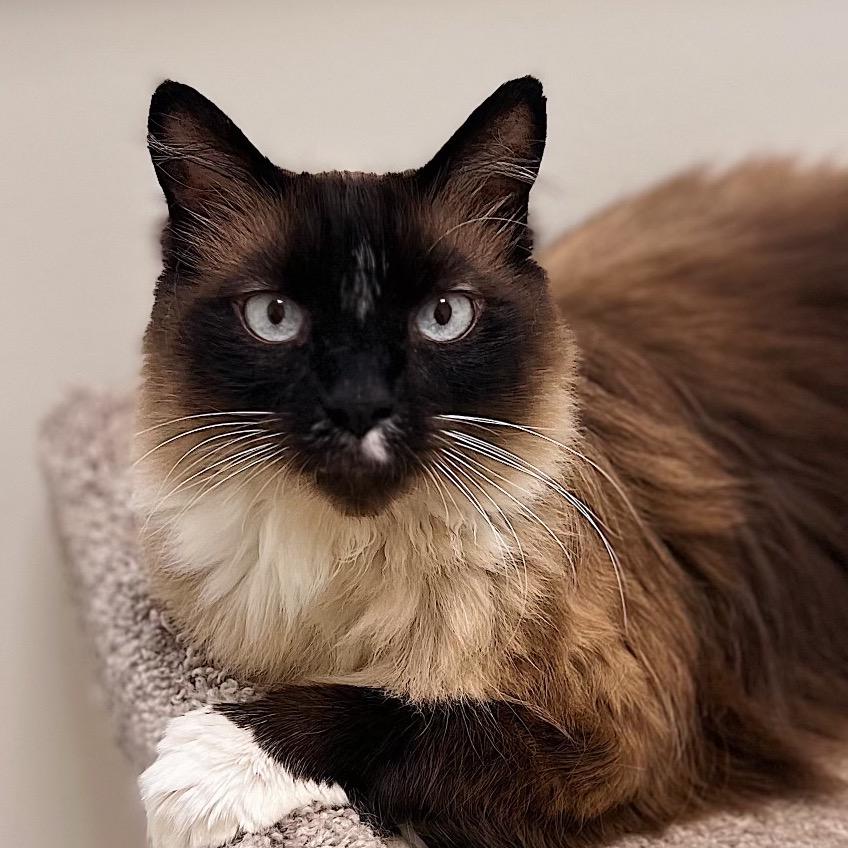 Luigi — thumbnail 3