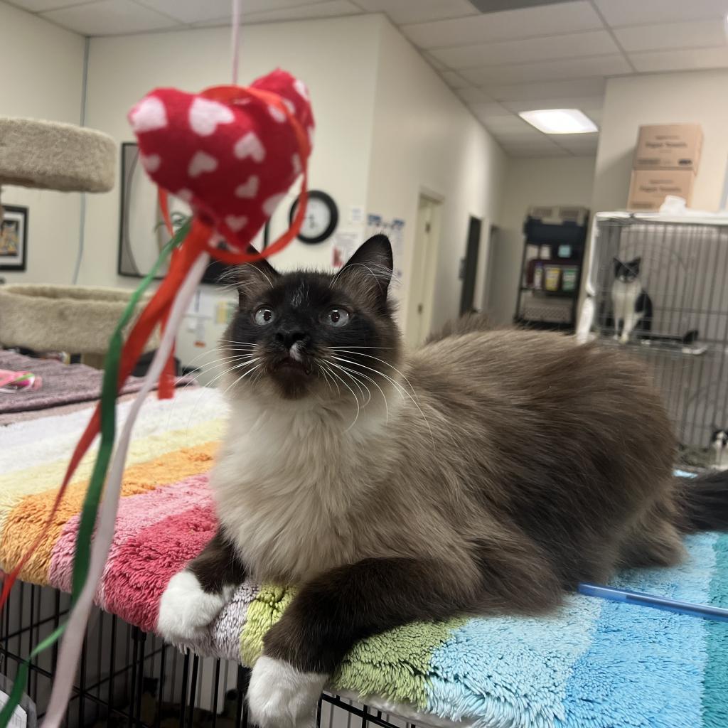 Luigi — thumbnail 5