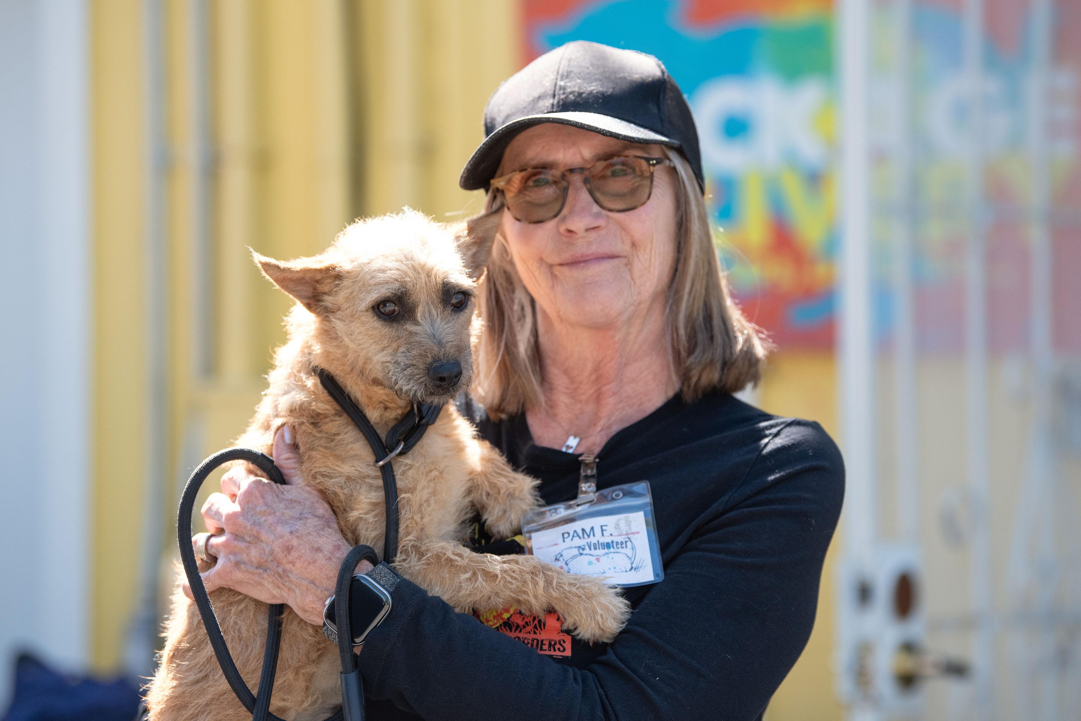 Enlarge Zoe, an adopted mixed breed in Santa Rosa, CA image 3/6