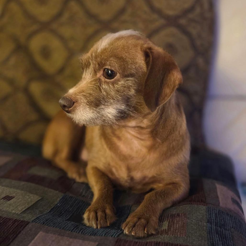 Lioness and Kitty- bonded — thumbnail 2