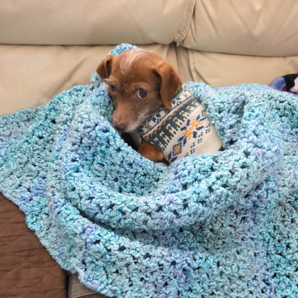 Lioness and Kitty- bonded — thumbnail 4