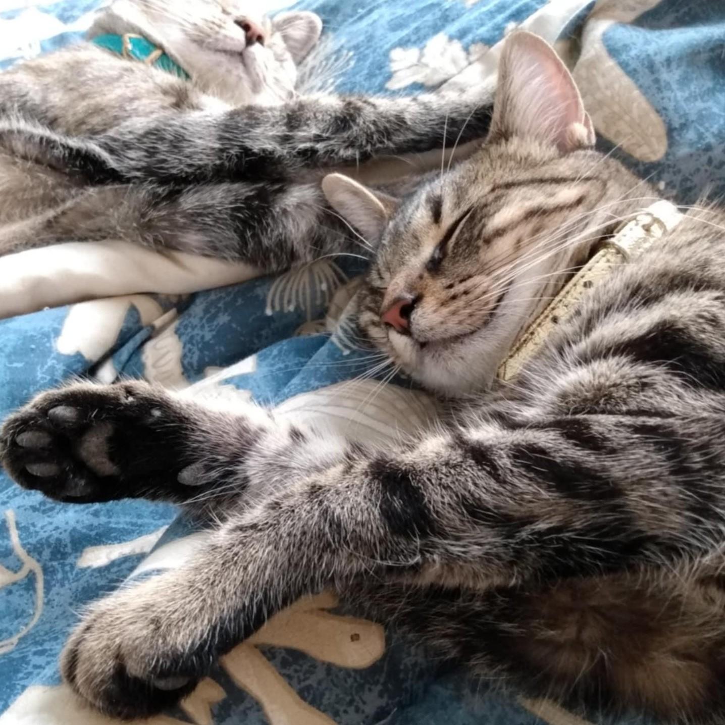 San Diego thumbnail 3