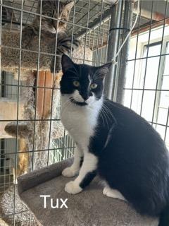Tux