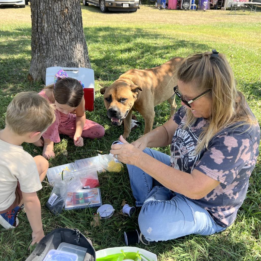 Dante, a Adoptable mixed breed in Aledo, TX image 2/6