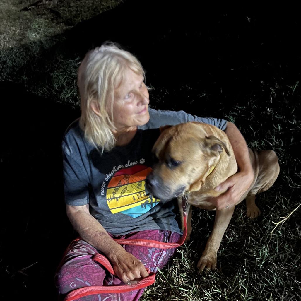 Dante, a Adoptable mixed breed in Aledo, TX image 3/6