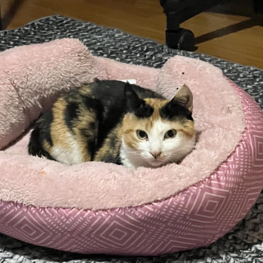 Mabel 2 — thumbnail 3