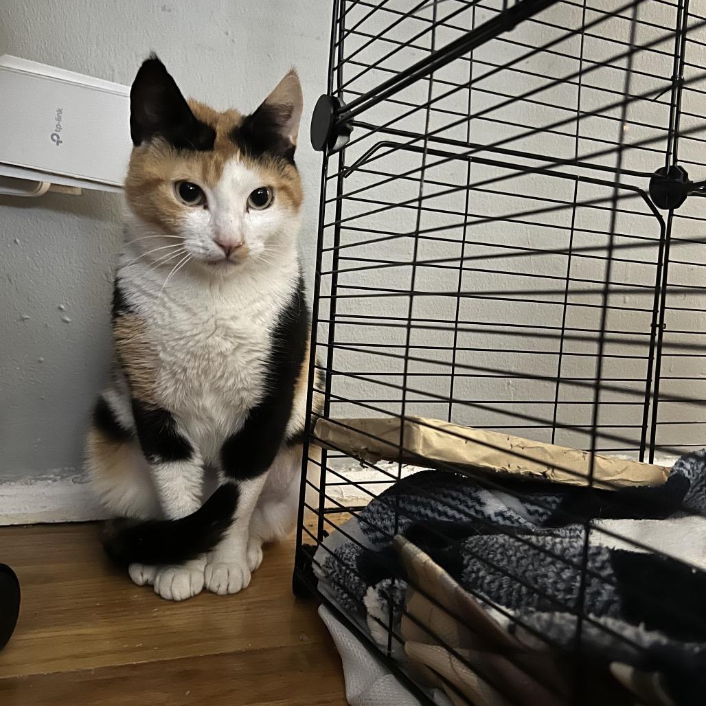 Mabel 2 — thumbnail 4