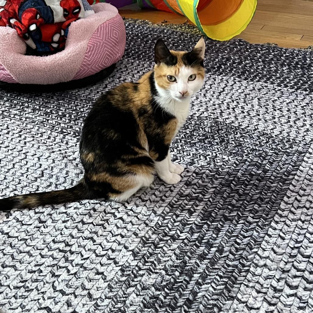 Mabel 2 — thumbnail 5