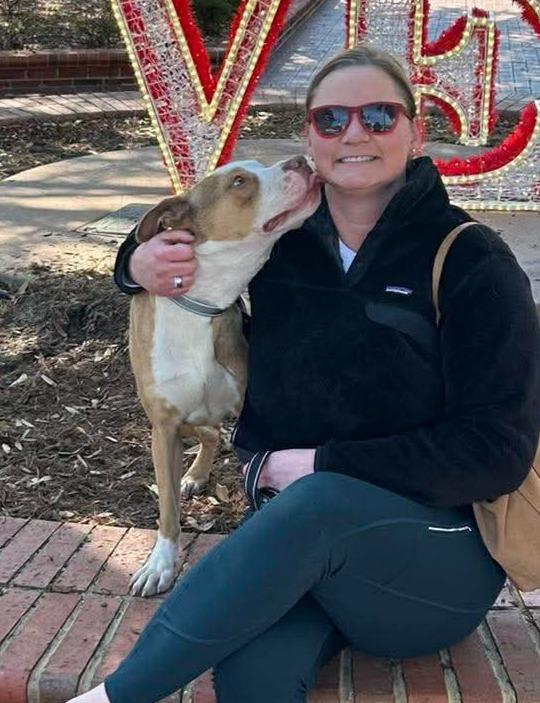 King, a Adoptable mixed breed in Hartsville, SC image 3/6