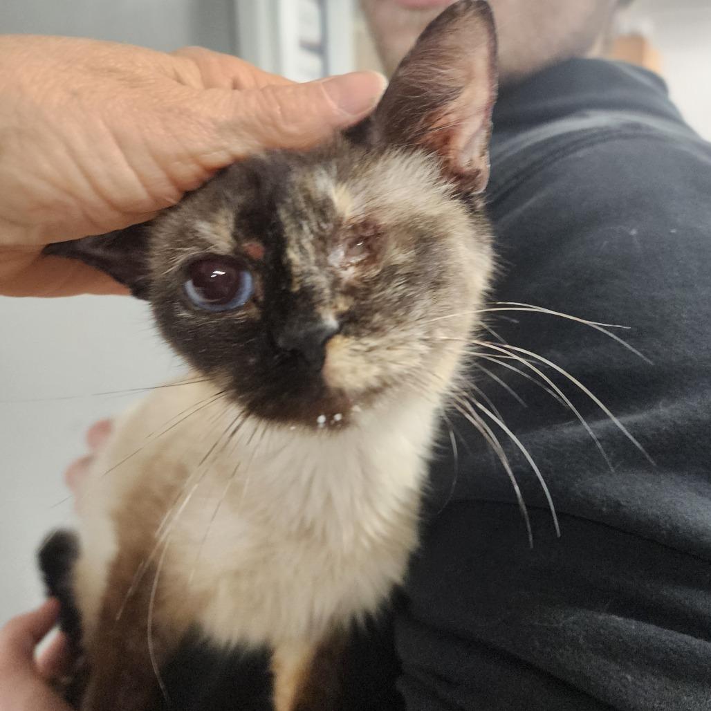 Fiona — thumbnail 2