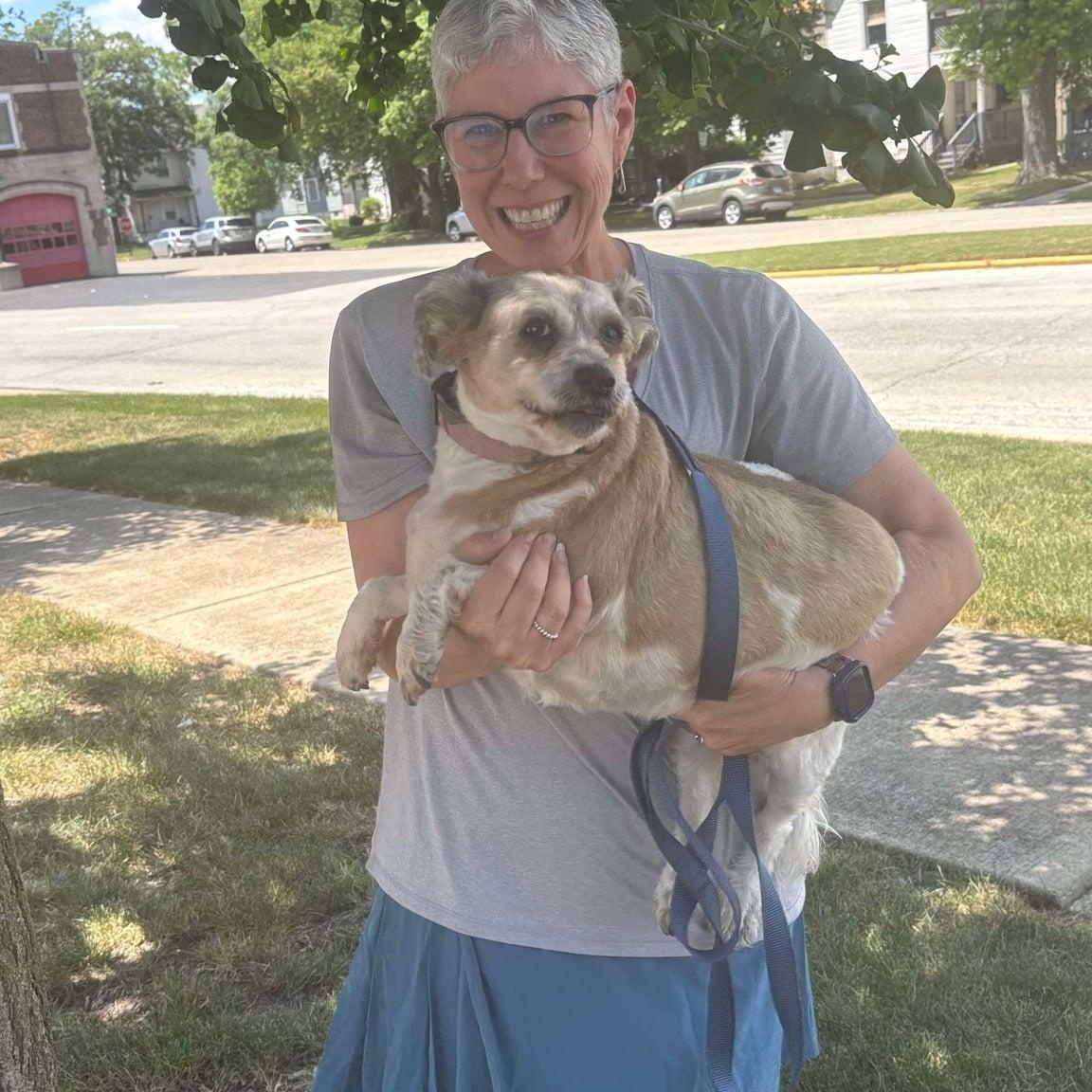 Molly, a Adoptable mixed breed in Homer Glen, IL image 5/6