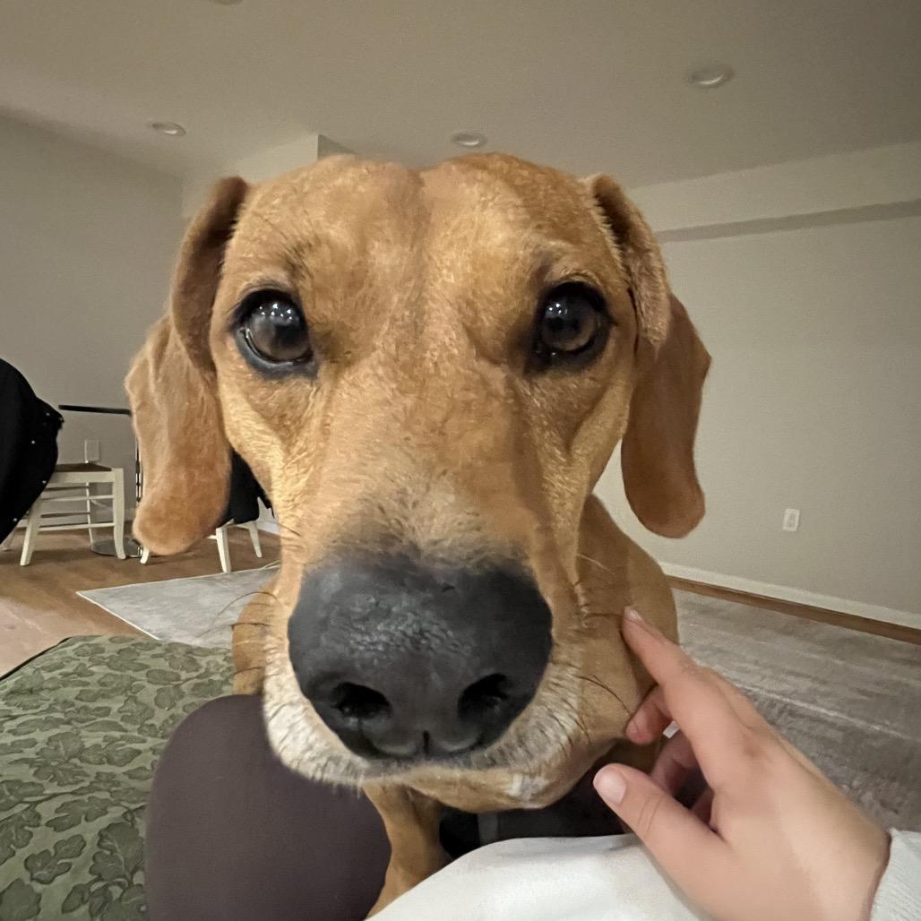 Oskar The Ween thumbnail 3