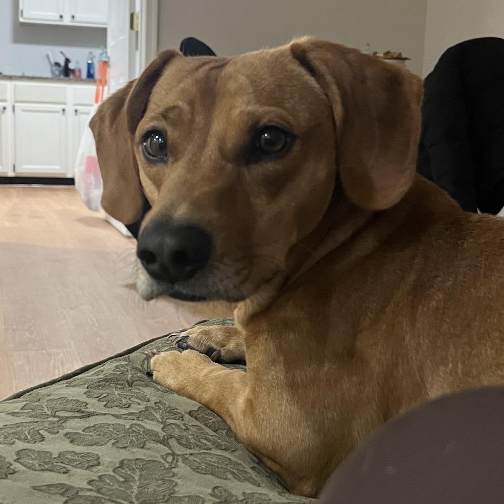 Oskar The Ween thumbnail 5