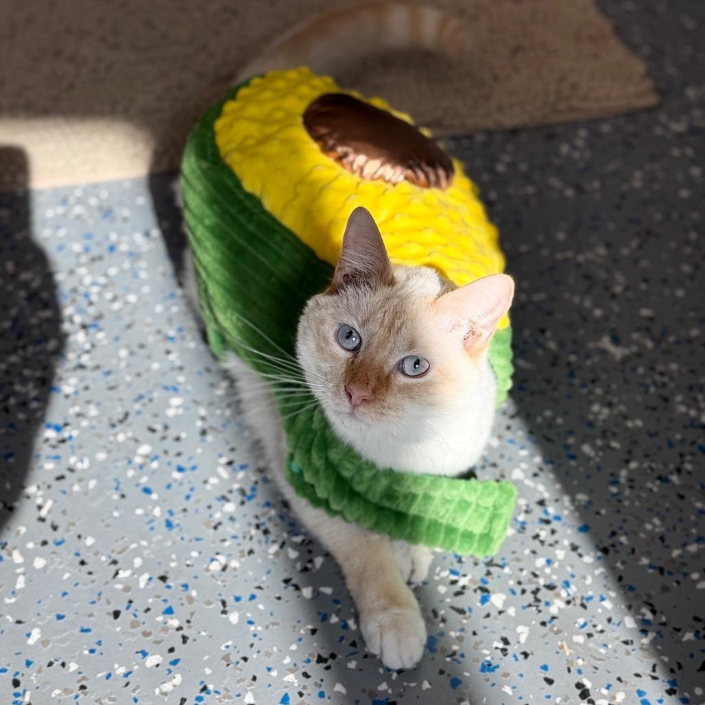 Micah — thumbnail 2