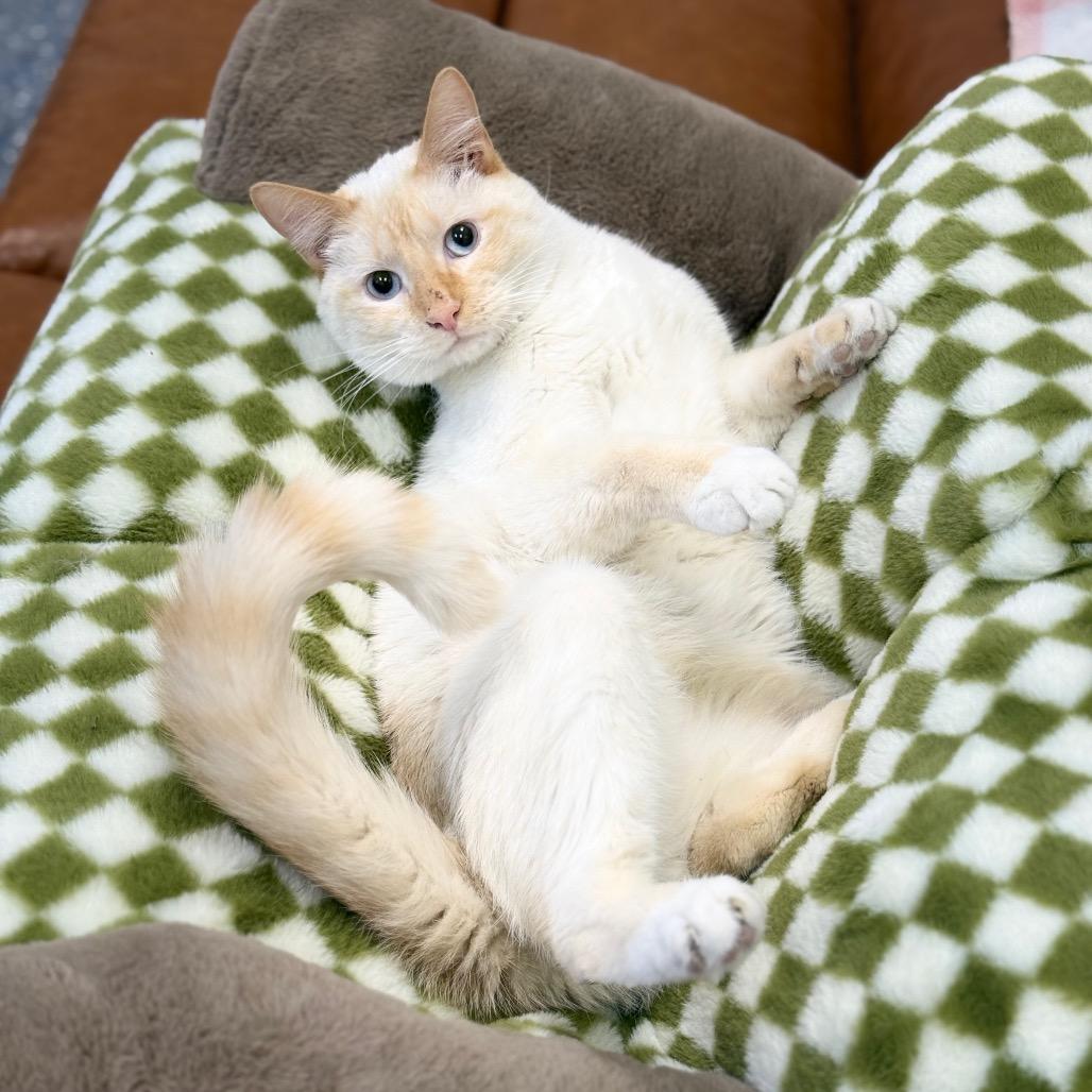 Micah — thumbnail 3