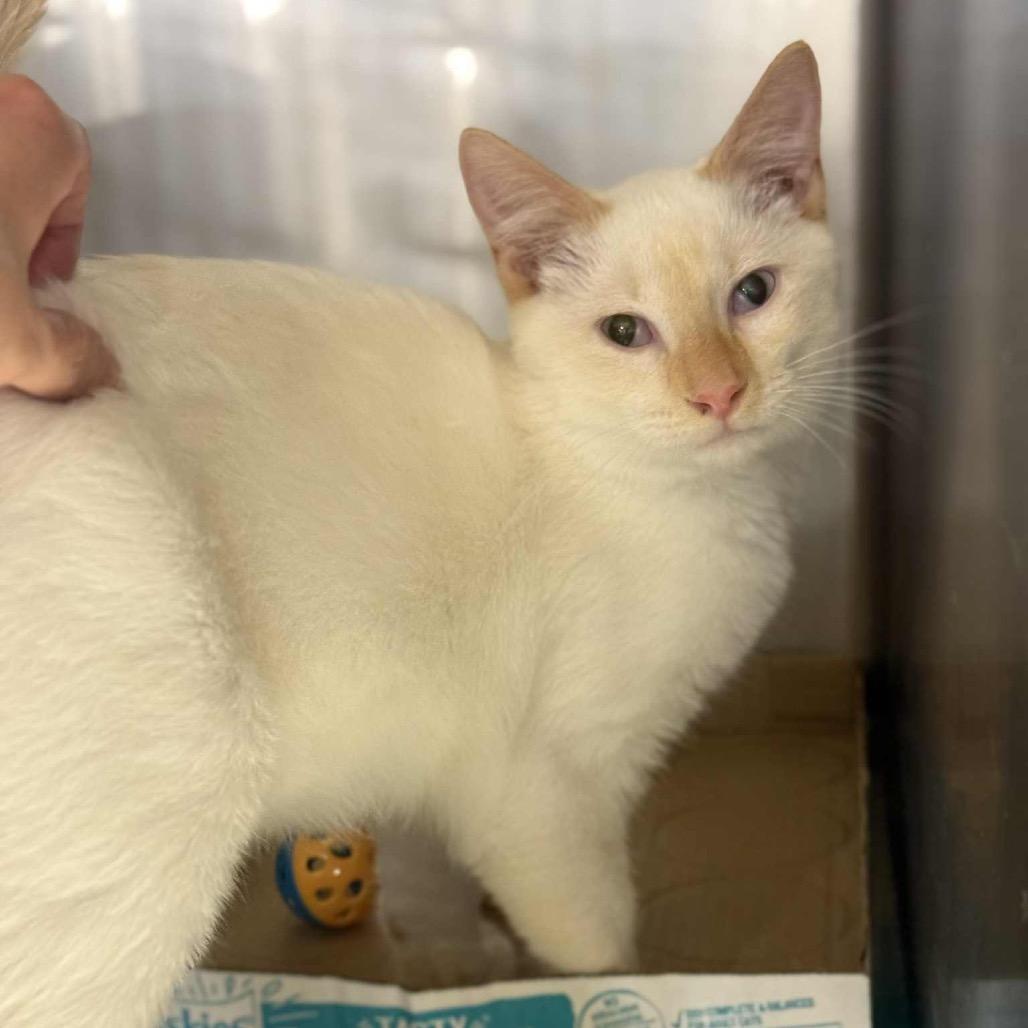 Micah — thumbnail 4